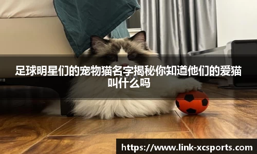 足球明星们的宠物猫名字揭秘你知道他们的爱猫叫什么吗